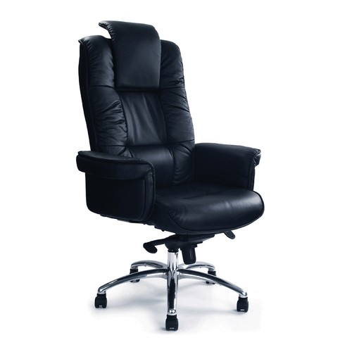 Nautilus hercules high back - hercules,